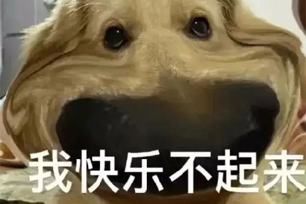 冤種是什么意思梗 冤種是哪里的方言 冤種是什么意思梗 冤種是哪里的方言