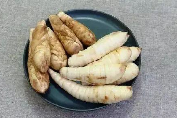 玉竹泡水的功效和作用 玉竹泡水最佳搭配 玉竹泡水的功效和作用 玉竹泡水最佳搭配