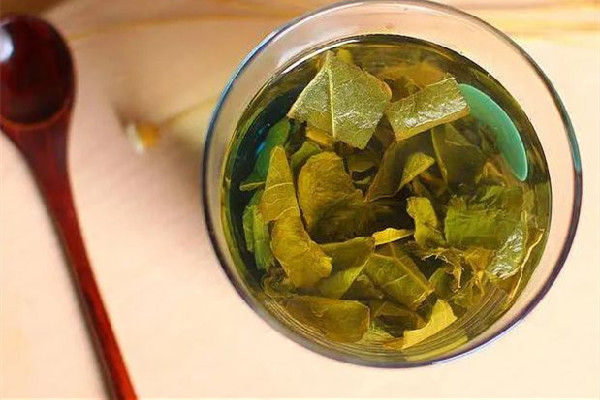 冬瓜荷葉茶怎么喝才能減肥 冬瓜荷葉茶要用開(kāi)水泡嗎