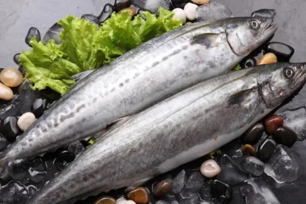 鲅魚要不要刮魚鱗 鲅魚要燉多長時(shí)間