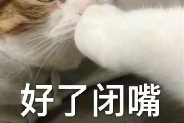 小六子是什么梗 網(wǎng)絡用語中央開空調是什么意思