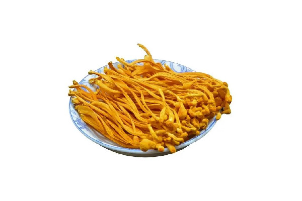 蟲(chóng)草花一次放多少煲湯 蟲(chóng)草花放多了會(huì)怎么樣