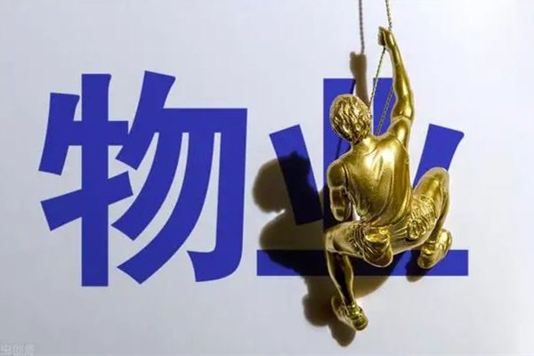 人民網(wǎng)評小區(qū)物業(yè)監(jiān)控業(yè)主 物業(yè)公司主要負責哪些工作