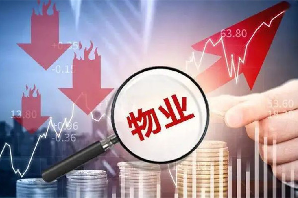 人民網(wǎng)評小區(qū)物業(yè)監(jiān)控業(yè)主 物業(yè)公司主要負責哪些工作