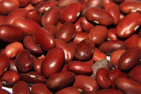 紅豆發(fā)豆芽可以吃嗎 紅豆發(fā)芽要多長時(shí)間