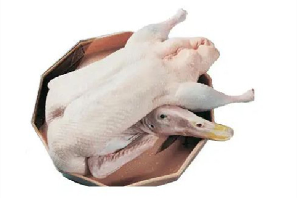 老人養(yǎng)的近4000只鴨子被投毒 鴨肉蛋白質含量高嗎