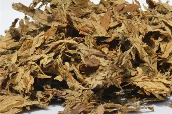 艾草多長時(shí)間熏一次 艾草熏煙對人體有害嗎