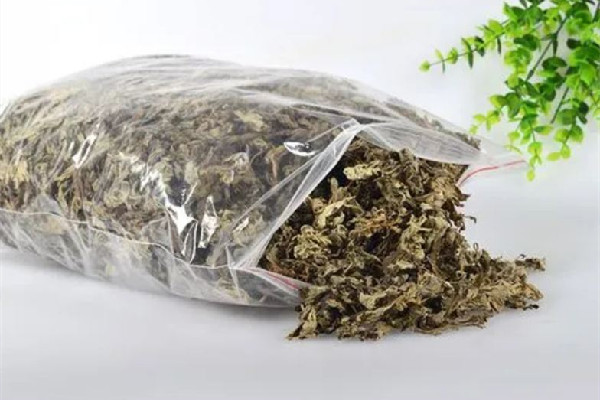 艾草多長時(shí)間熏一次 艾草熏煙對人體有害嗎