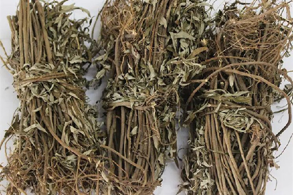 艾草多長時(shí)間熏一次 艾草熏煙對人體有害嗎