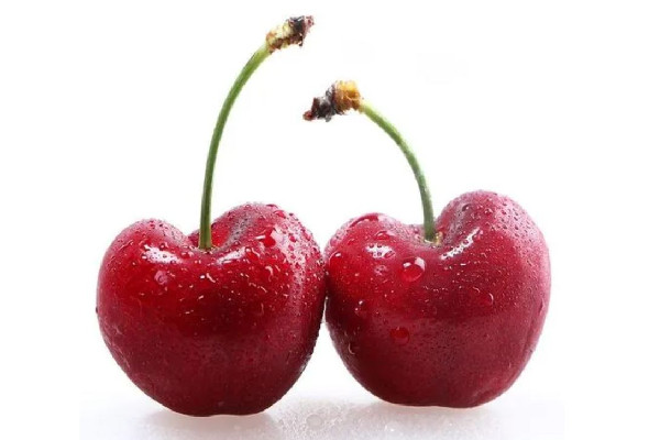 車厘子要放冰箱保鮮嗎 車厘子放多久會壞 車厘子要放冰箱保鮮嗎 車厘子放多久會壞