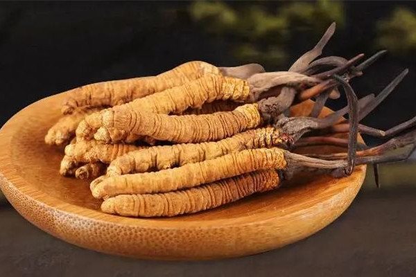 冬蟲(chóng)夏草有養(yǎng)殖的嗎 冬蟲(chóng)夏草人工和養(yǎng)殖的區(qū)別 冬蟲(chóng)夏草有養(yǎng)殖的嗎 冬蟲(chóng)夏草人工和養(yǎng)殖的區(qū)別