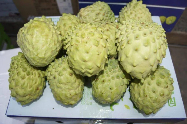 臺灣幾千噸鳳梨釋迦滯銷 鳳梨釋迦果的功效與作用 臺灣幾千噸鳳梨釋迦滯銷 鳳梨釋迦果的功效與作用