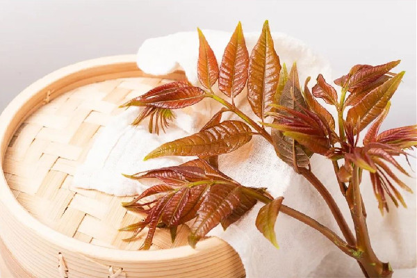 香椿要焯水吃嗎 香椿焯水多久 香椿要焯水吃嗎 香椿焯水多久