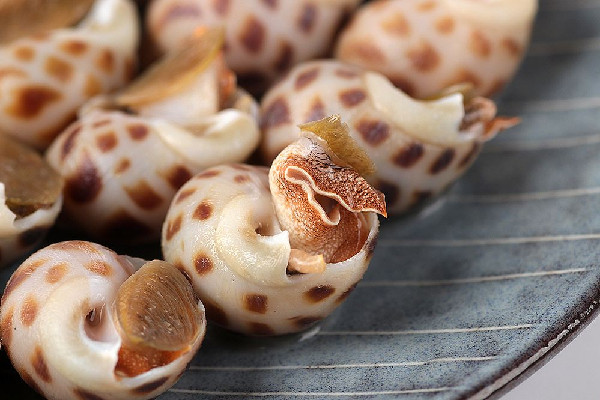 花螺要剪屁股嗎 花螺買(mǎi)回來(lái)怎么處理