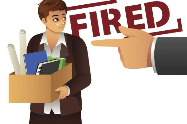 公司回應(yīng)員工給客戶倒水太滿被開除 公司試用期開除員工怎么補(bǔ)償 公司回應(yīng)員工給客戶倒水太滿被開除 公司試用期開除員工怎么補(bǔ)償