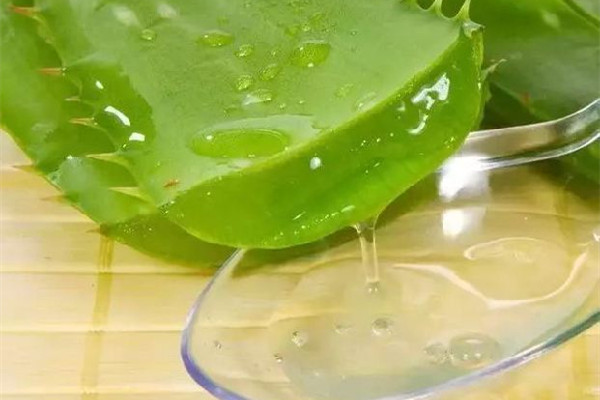 宣稱(chēng)92%蘆薈膠只有0.41% 蘆薈膠是怎么做的