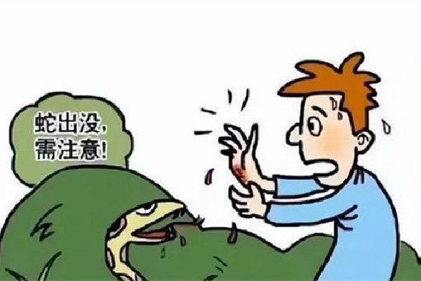 女子住酒店被毒蛇咬傷酒店拒擔(dān)全責(zé) 毒蛇一般在什么地方 女子住酒店被毒蛇咬傷酒店拒擔(dān)全責(zé) 毒蛇一般在什么地方