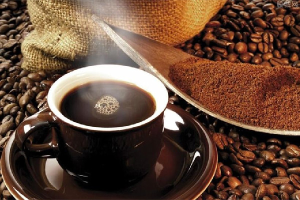 咖啡粉可以當肥料種花嗎 咖啡粉和咖啡豆哪個比較好 咖啡粉可以當肥料種花嗎 咖啡粉和咖啡豆哪個比較好