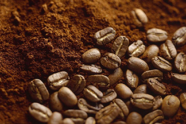 咖啡粉可以當肥料種花嗎 咖啡粉和咖啡豆哪個比較好 咖啡粉可以當肥料種花嗎 咖啡粉和咖啡豆哪個比較好