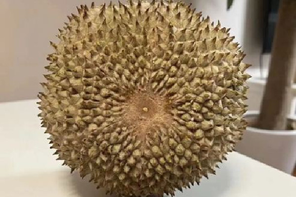 黑刺榴蓮多少錢(qián)一斤 黑刺榴蓮是什么品種